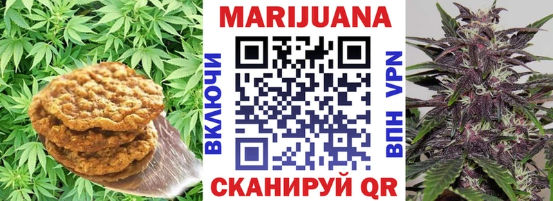 Cannafood конопля  Суджа 